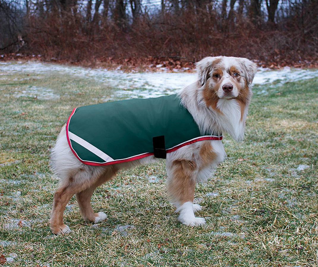 Waterproof Dog Blanket