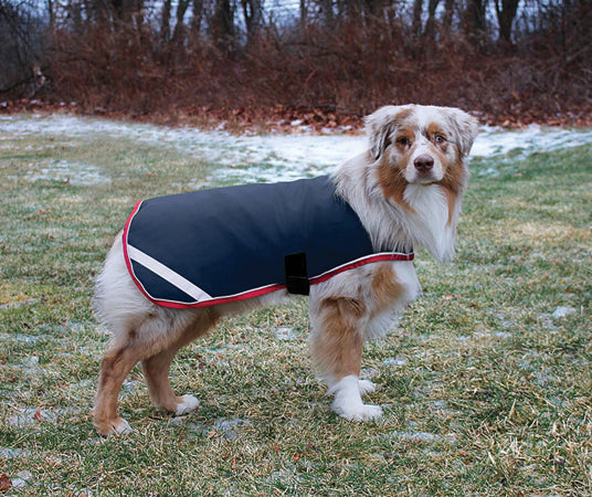 Waterproof Dog Blanket