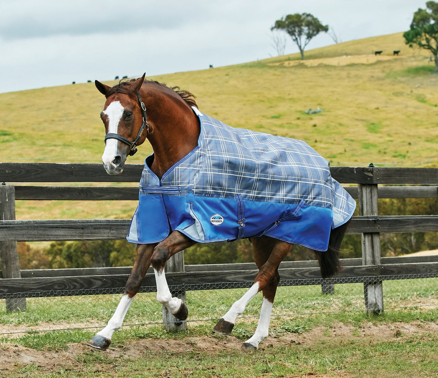 Free Standard Neck Turnout Sheet