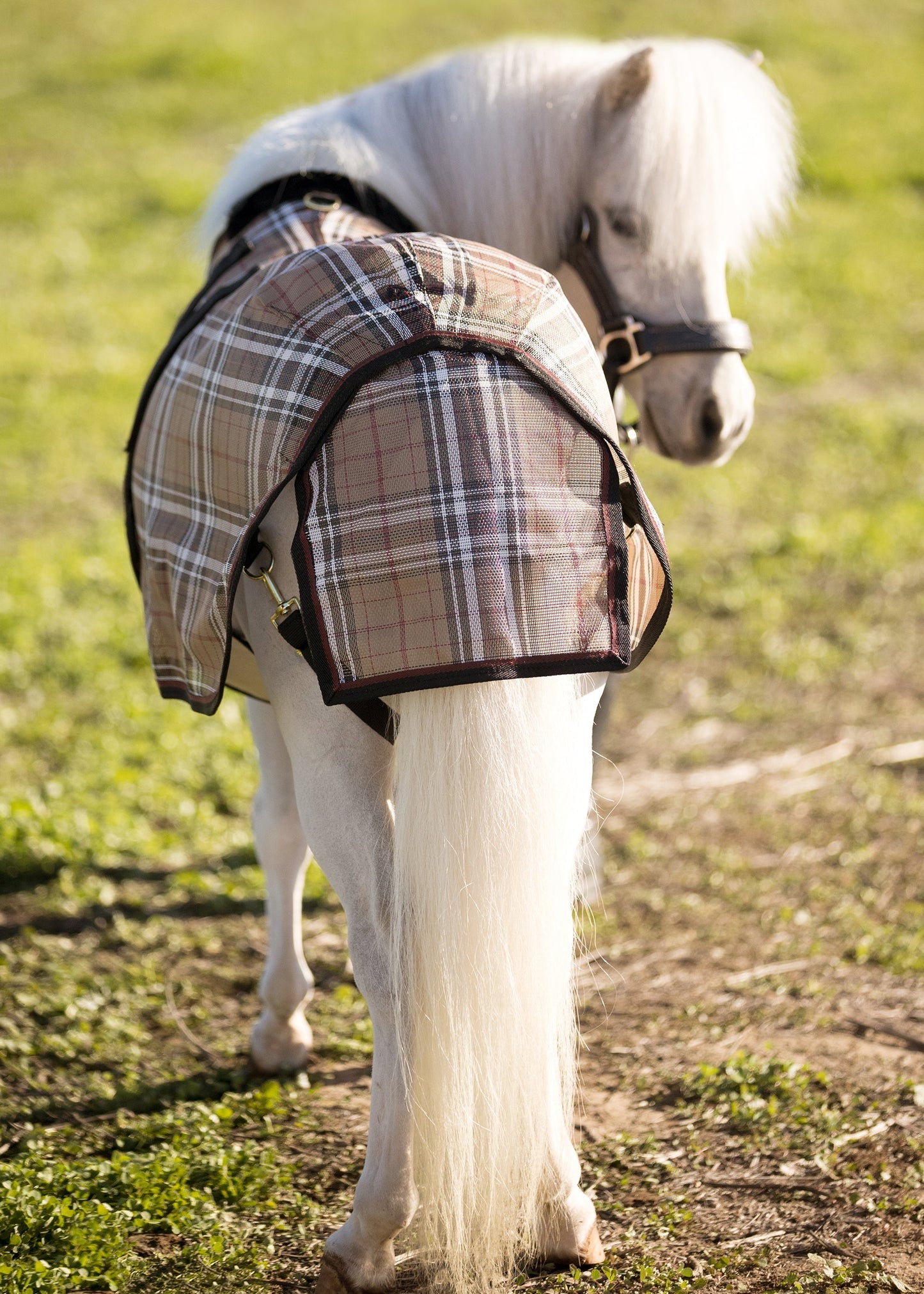 Protective Fly Sheet