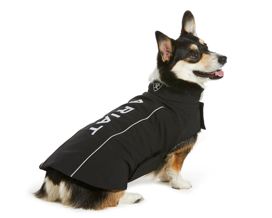 Team Soft Shell Dog Jacket