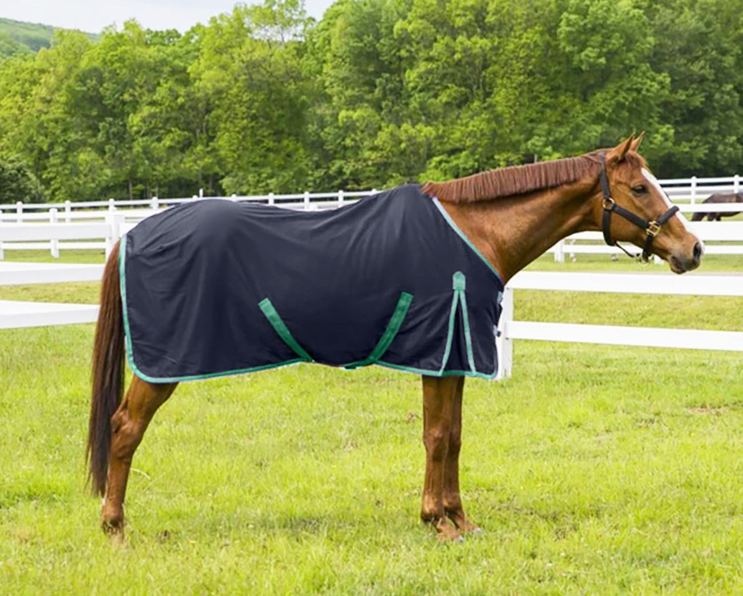 Kozy Komfort Stable Sheet