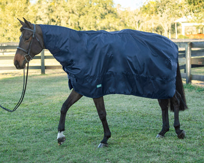 Rain Sheet