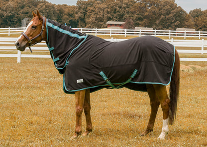 Cooler Sheet Combo