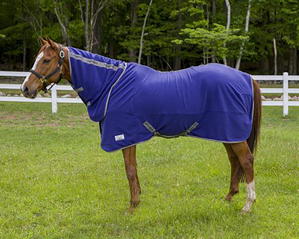 Cooler Sheet Combo