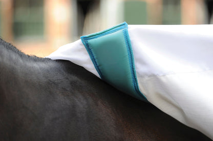 Sweet Itch Shield with Combo Neck