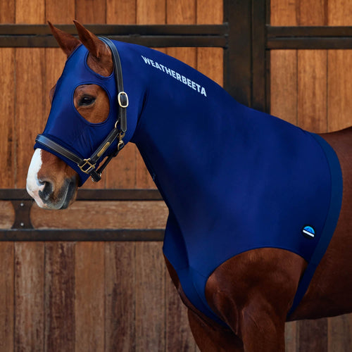 Stretch Hood with Zipper
