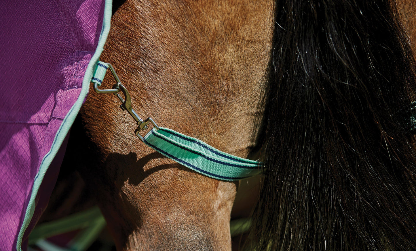 Premier Free II Detach-A-Neck Medium-Weight Turnout Blanket