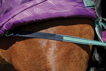 Premier Free II Detach-A-Neck Medium-Weight Turnout Blanket