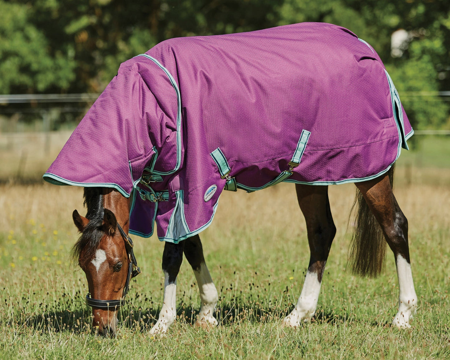 Premier Free II Detach-A-Neck Medium-Weight Turnout Blanket