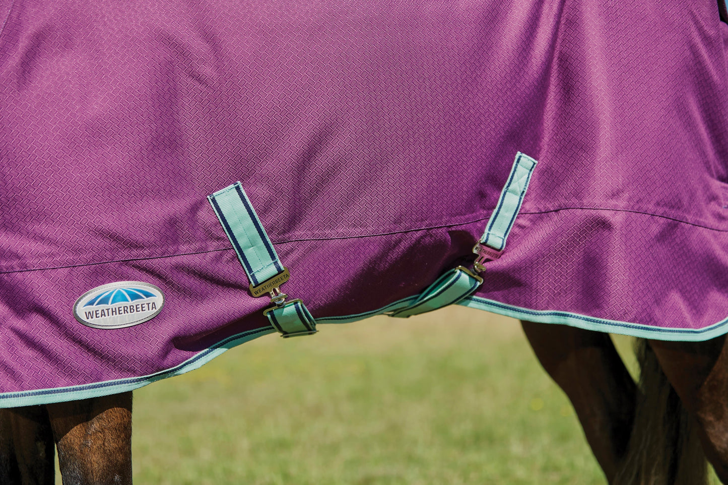 Premier Free II Detach-A-Neck Medium-Weight Turnout Blanket
