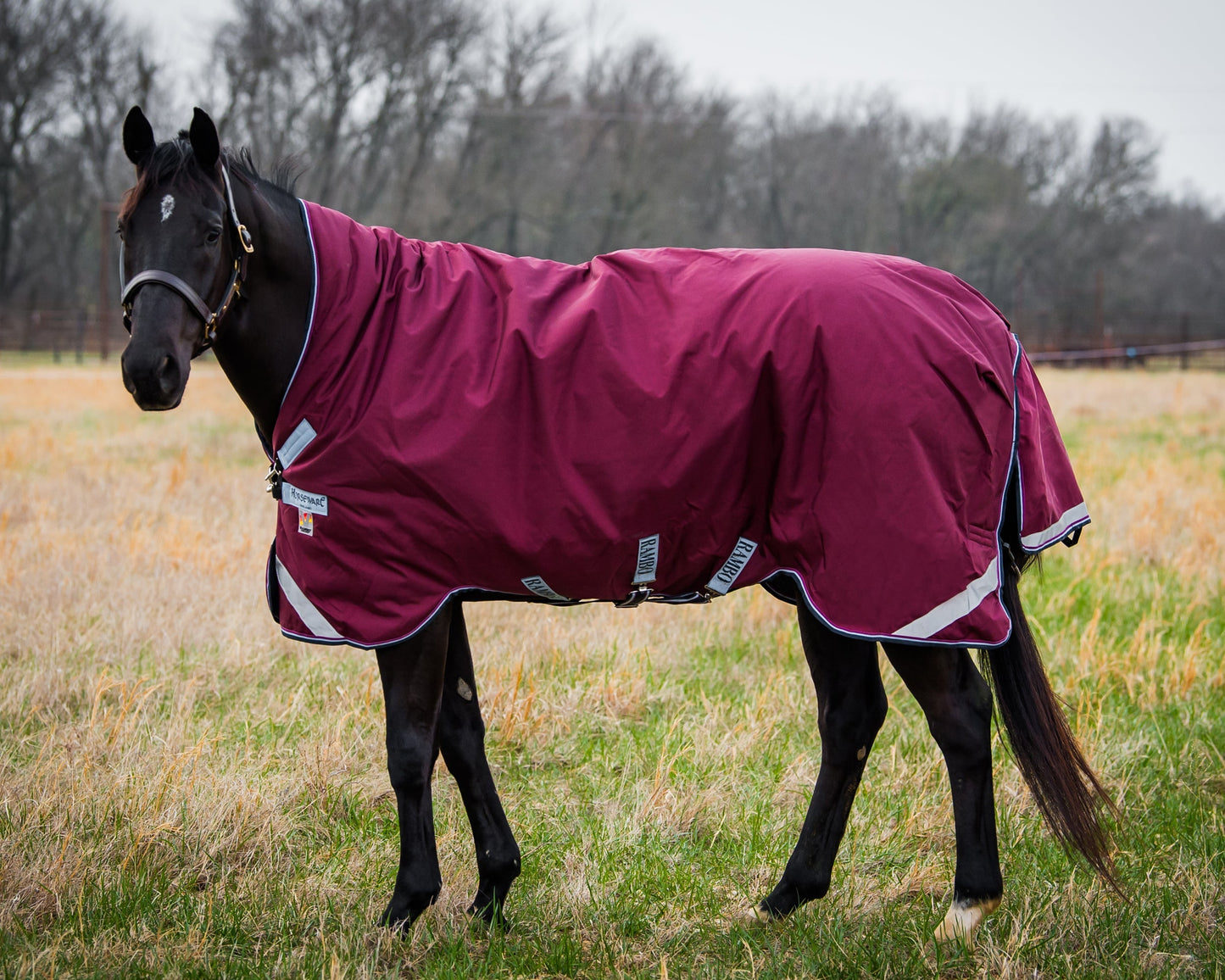 Wug Lite Turnout Blanket with 50 grams