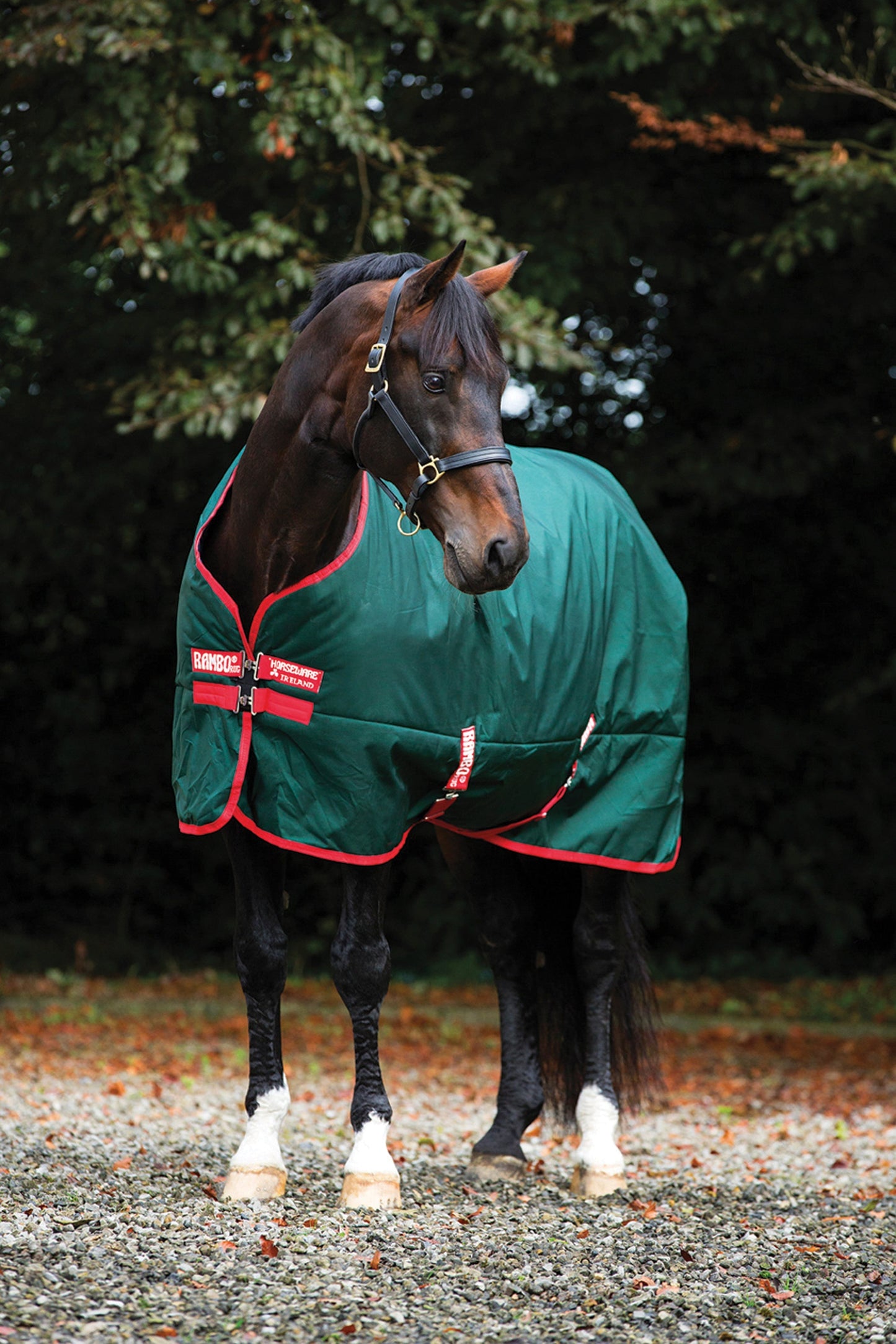 iginal 1000D Heavyweight Turnout–400G