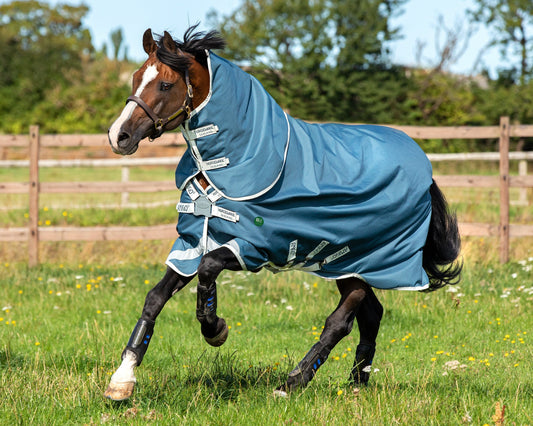 AmEco 12 Plus Lightweight Turnout Blanket