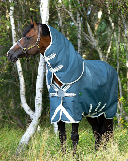 AmEco 12 Plus Lightweight Turnout Blanket