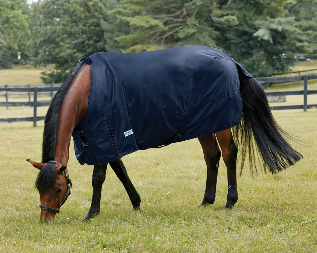 Heavyweight Turnout Blanket