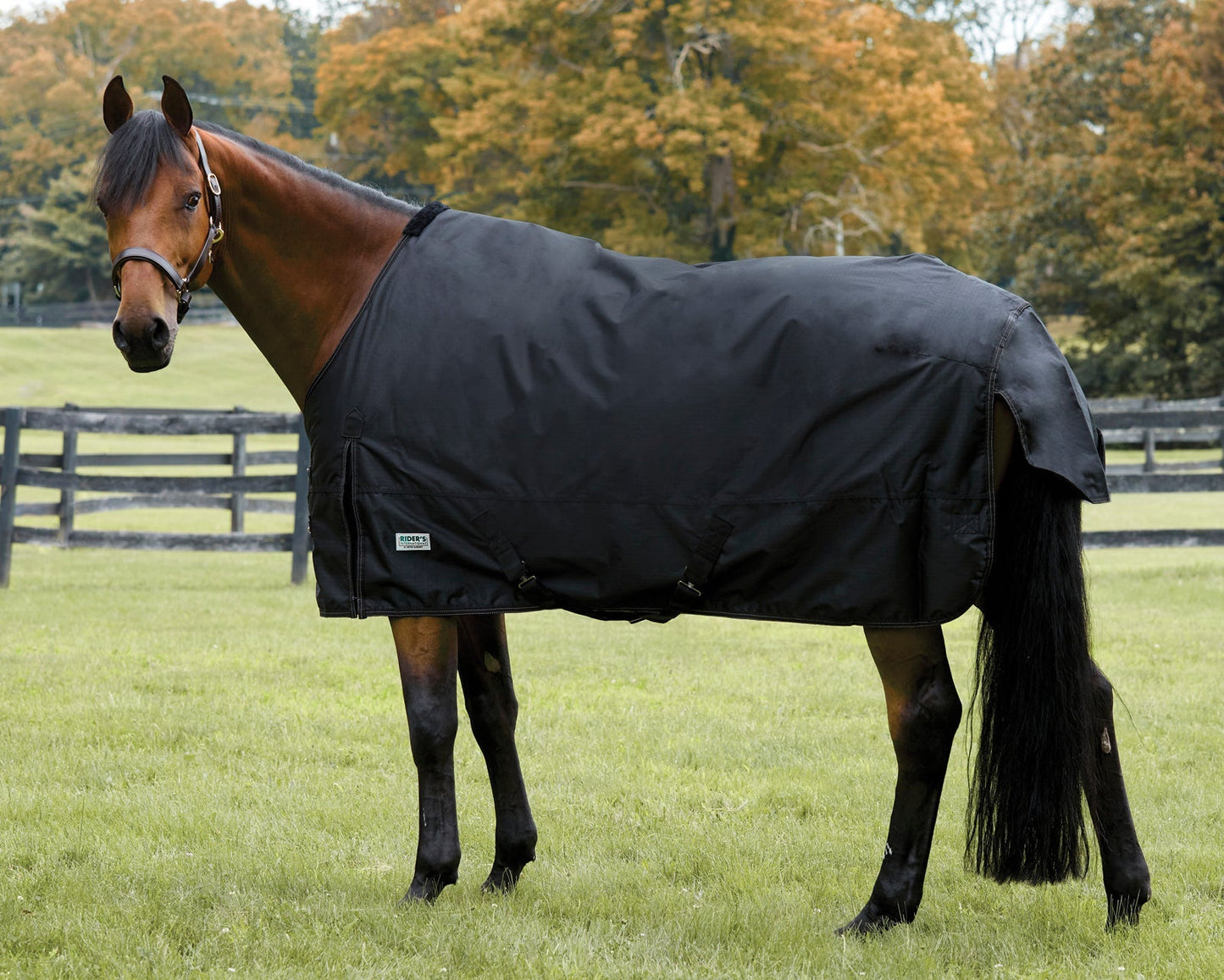 Heavyweight Turnout Blanket