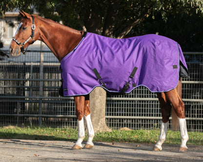 Signature Heavyweight Turnout Blanket