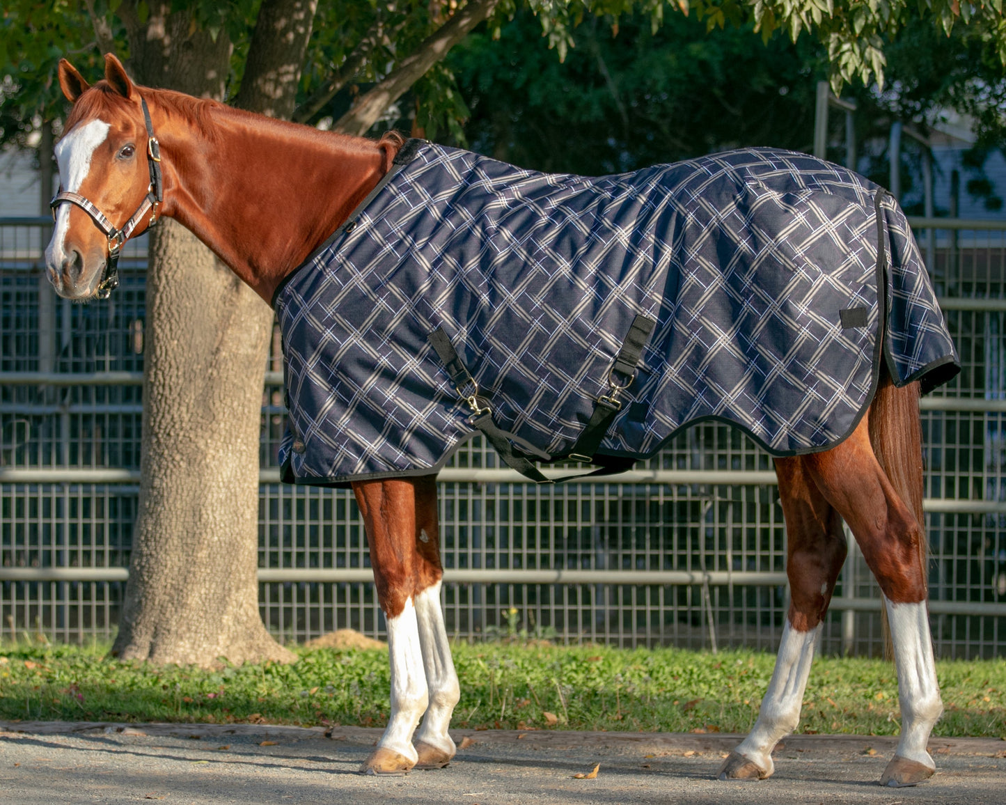 Signature Heavyweight Turnout Blanket
