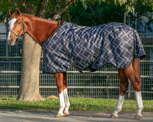 Signature Heavyweight Turnout Blanket