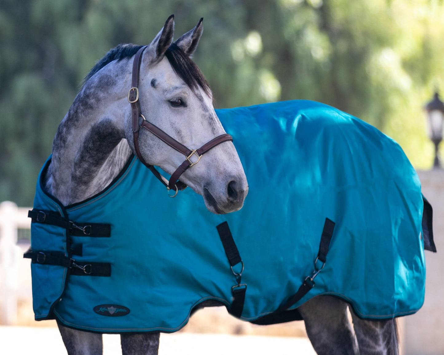 Signature Heavyweight Turnout Blanket