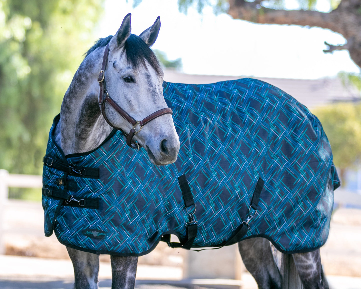 Signature Heavyweight Turnout Blanket
