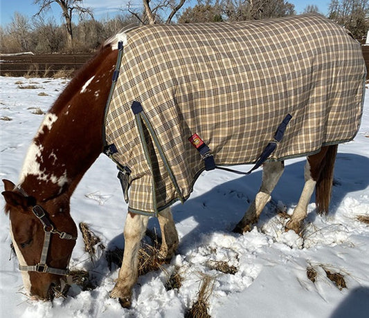 /A Extreme 555 Gram Turnout Blanket