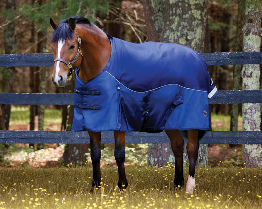 Heavyweight Turnout Blanket