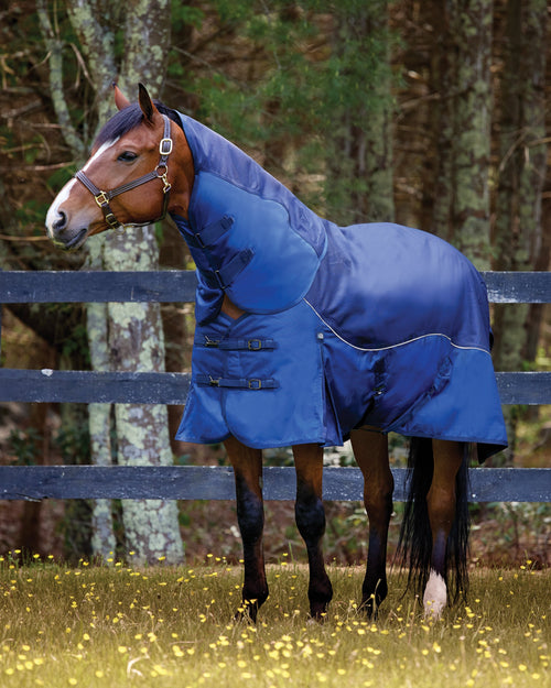 Medium-Weight Turnout Blanket
