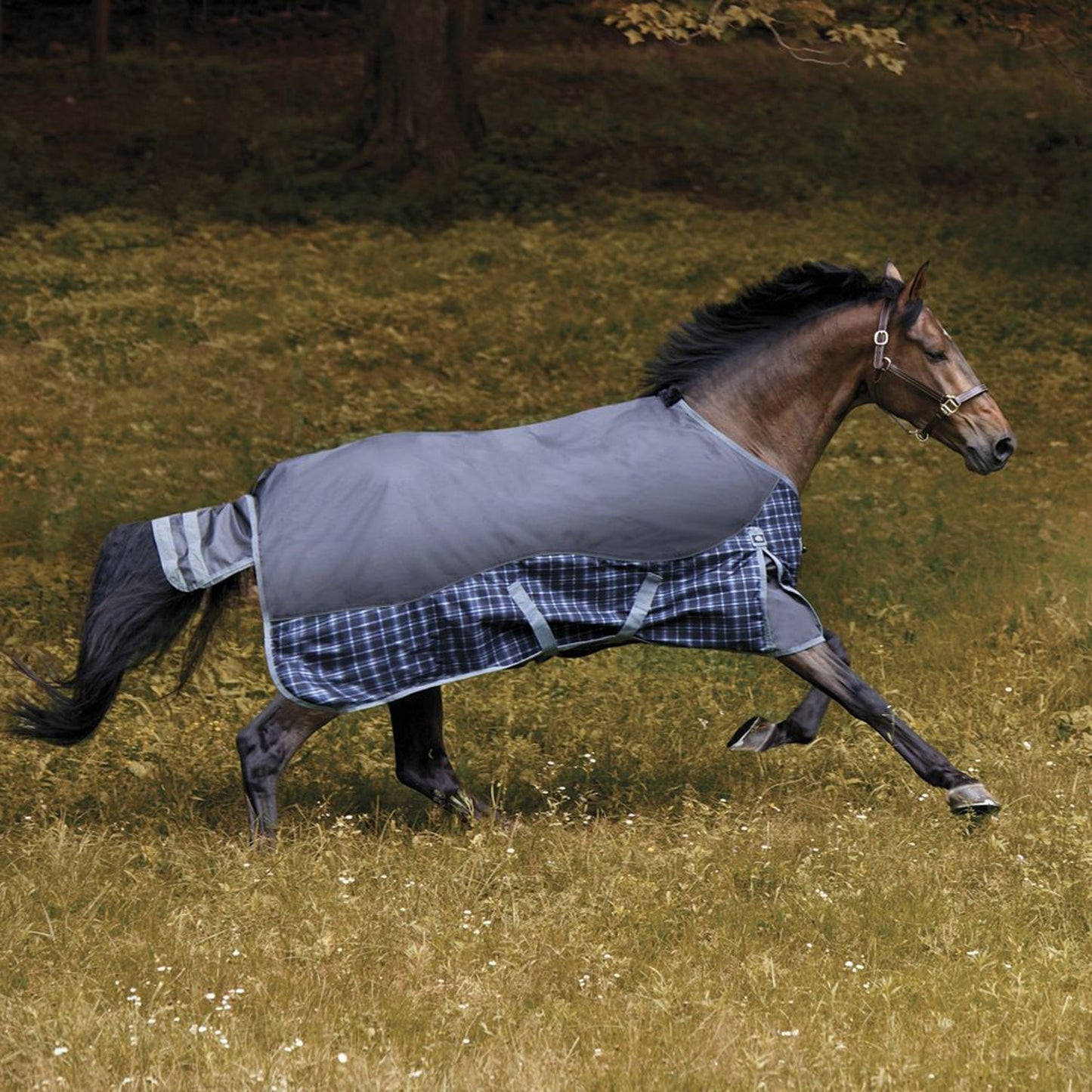 Heavyweight Turnout Blanket