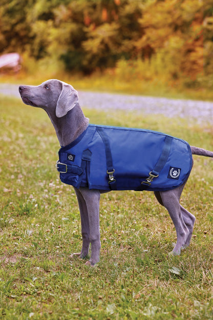 Dog Turnout Blanket