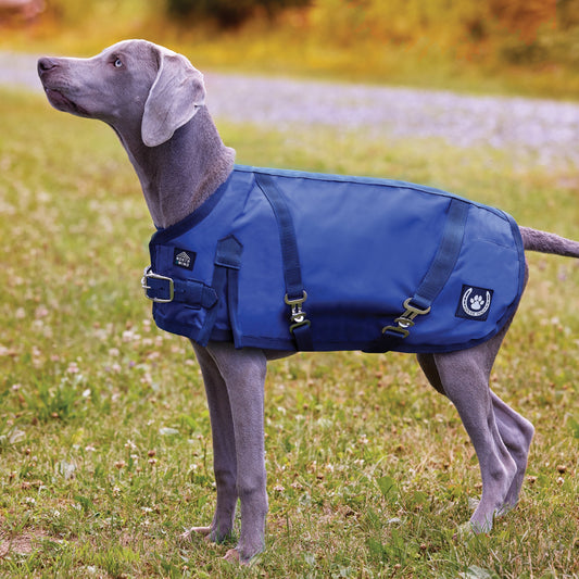 Dog Turnout Blanket