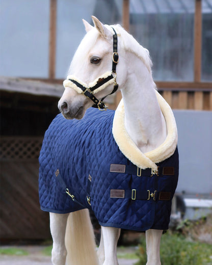 Show Rug