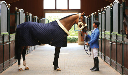 Show Rug