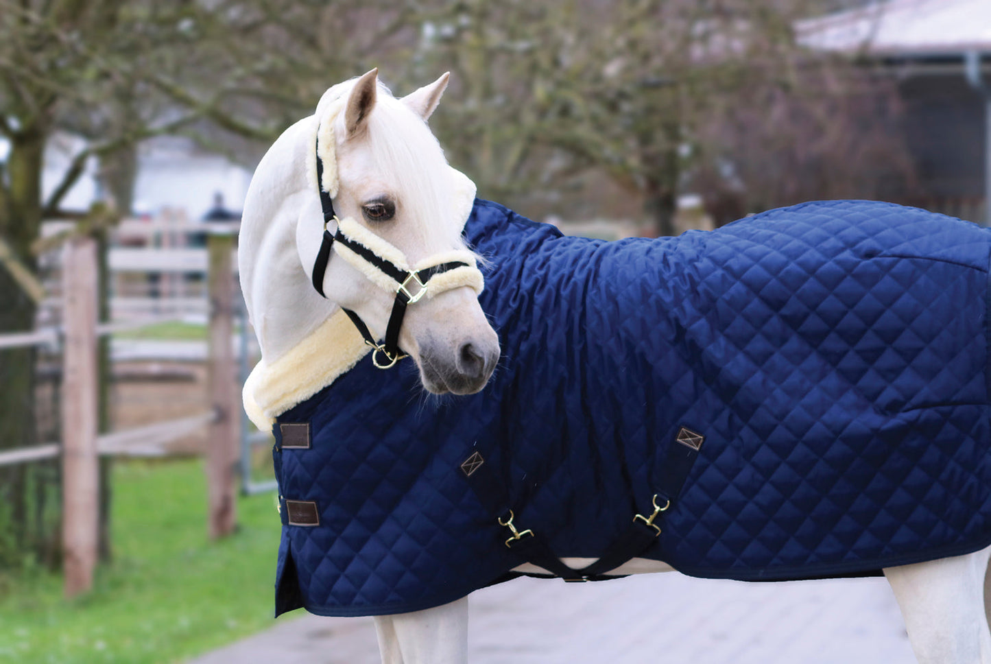Show Rug
