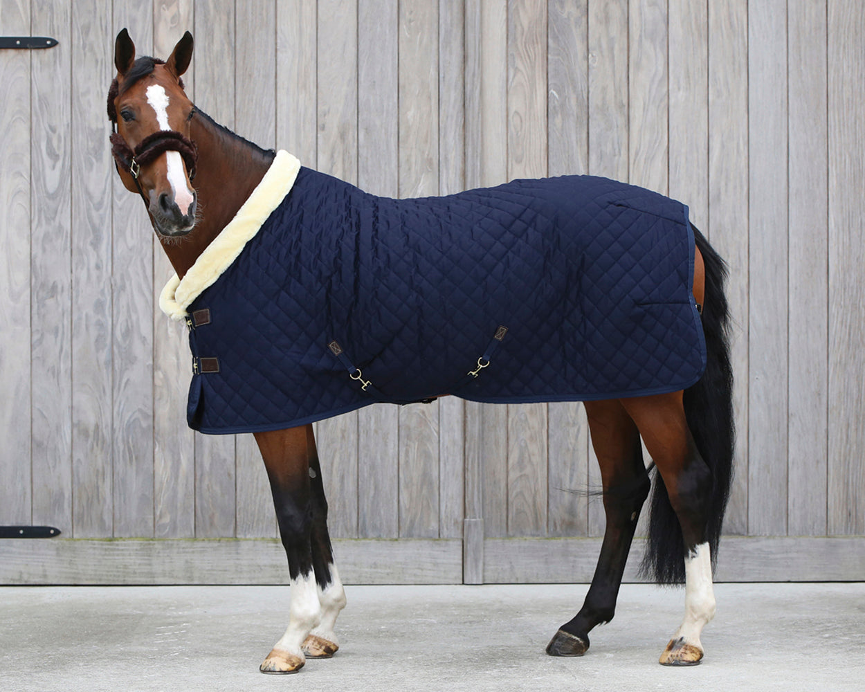 Show Rug
