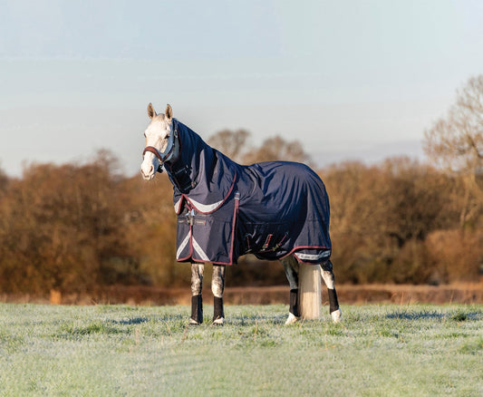 Kudos 200 Gram Turnout Blanket
