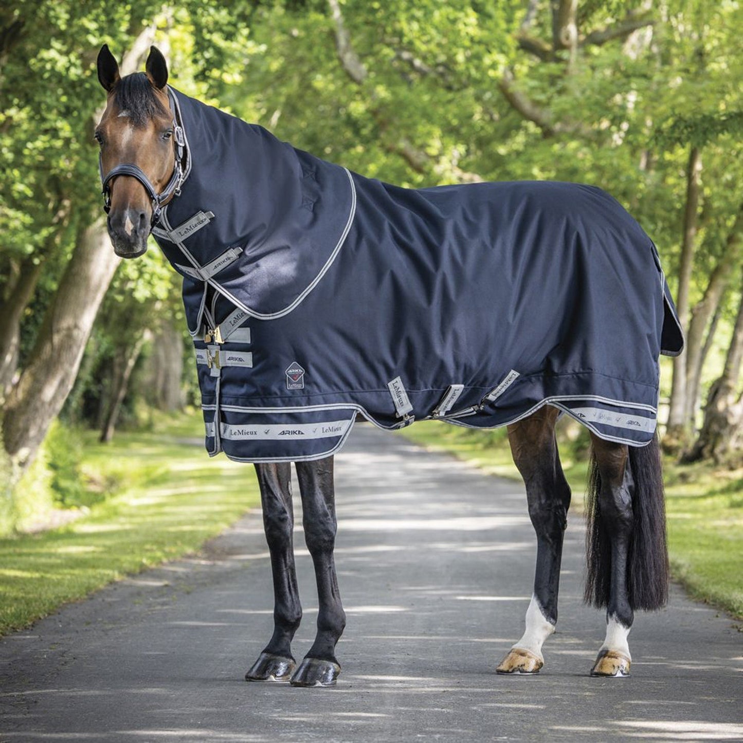 Arika Storm-Tek 100 Gram Turnout Blanket with Leg Straps