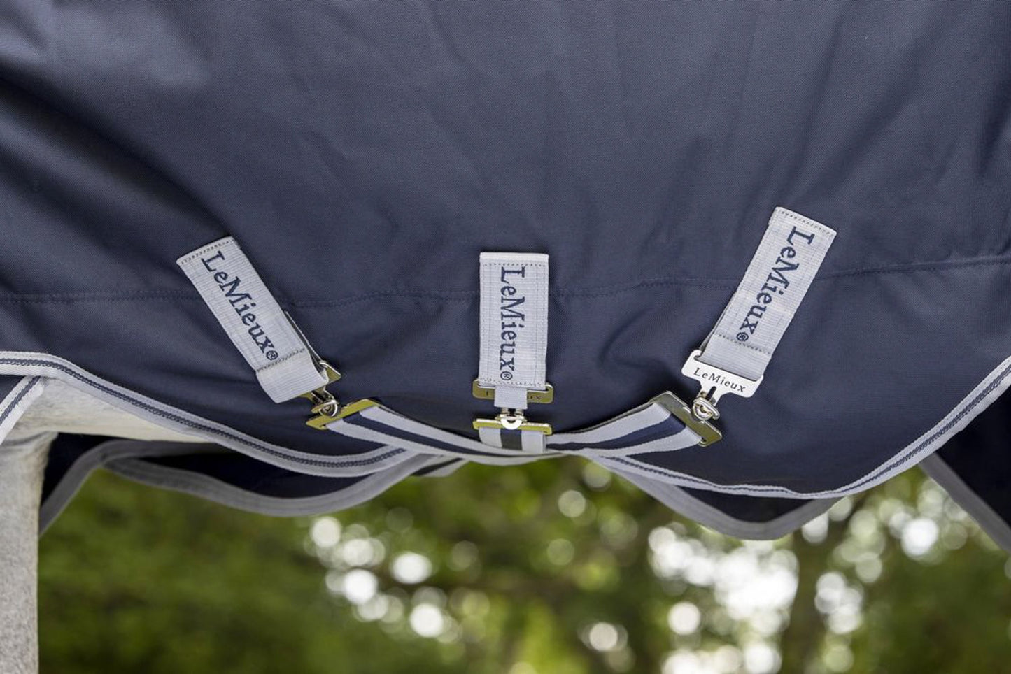 Arika Storm-Tek 100 Gram Turnout Blanket with Leg Straps