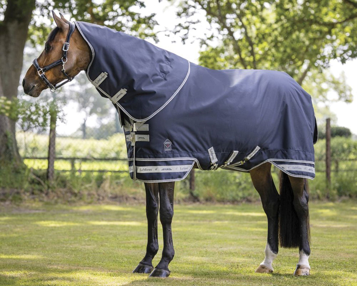 Arika Storm-Tek 100 Gram Turnout Blanket with Leg Straps
