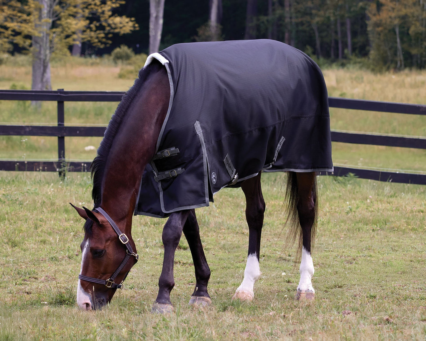 Supreme 100 Gram Turnout Blanket