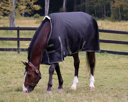 Supreme 100 Gram Turnout Blanket