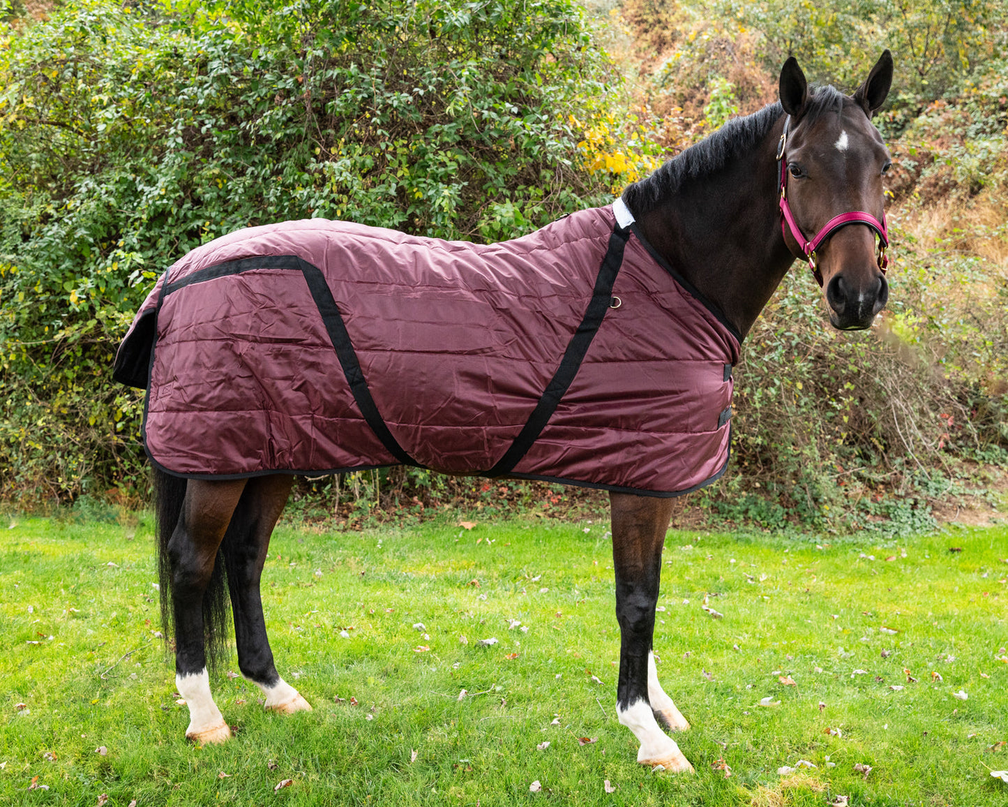 Heavyweight Stable Blanket, Large