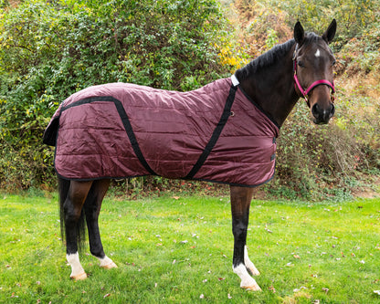 Heavyweight Stable Blanket, Large