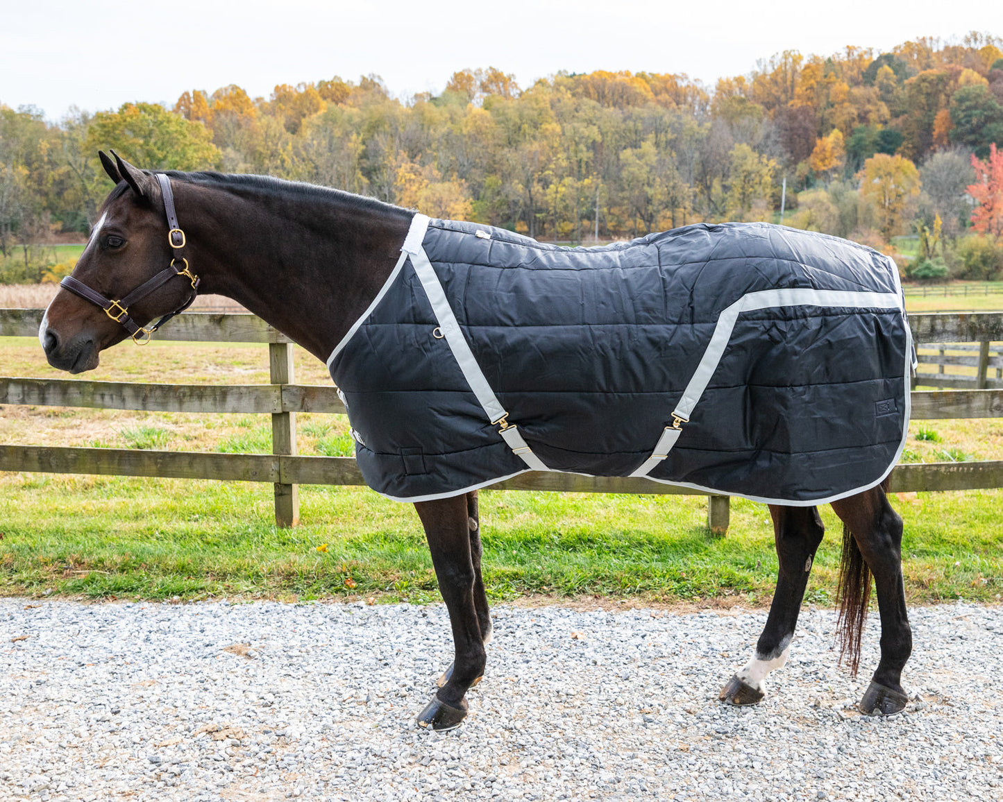 Heavyweight Stable Blanket, Large