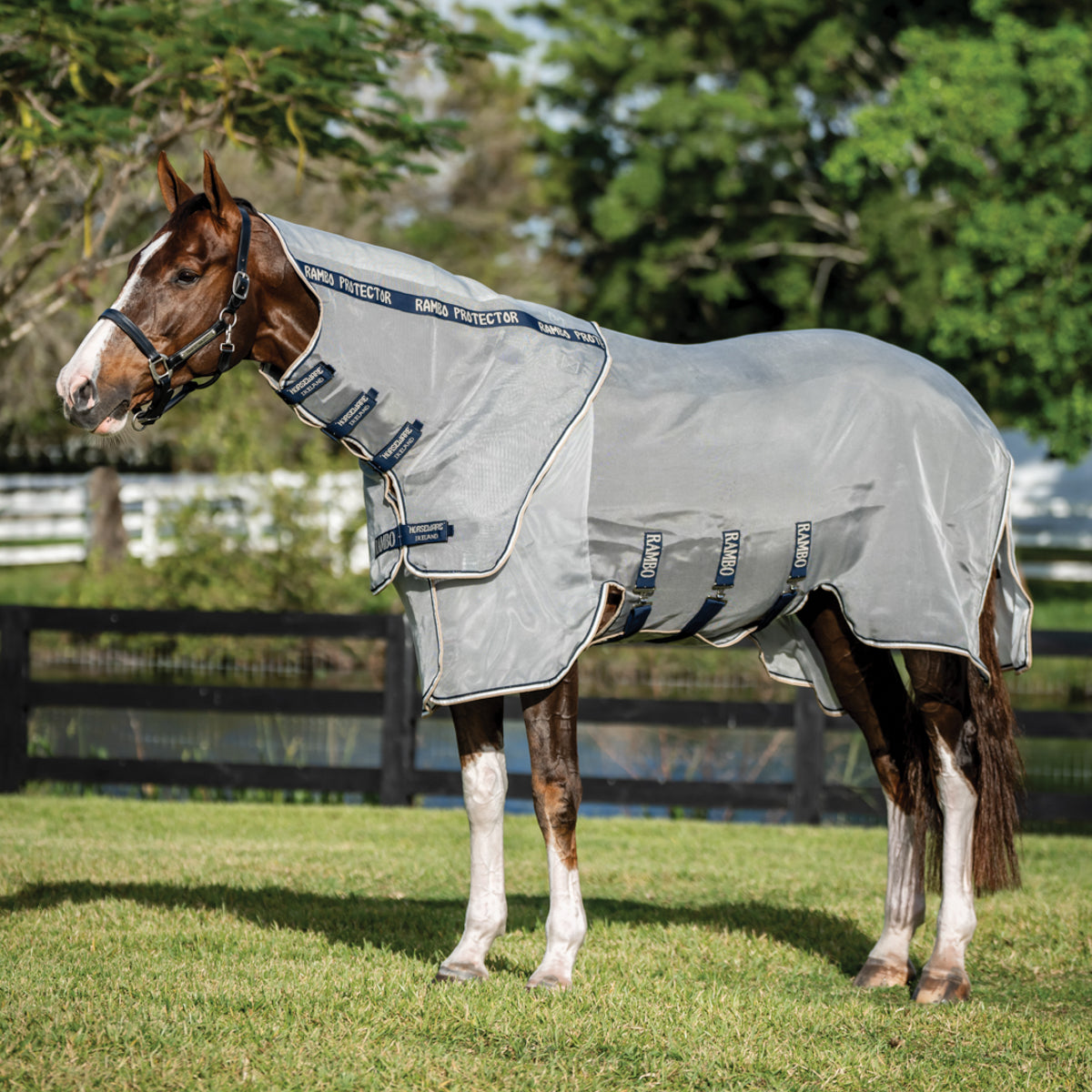 Protector Fieldsafe Plus