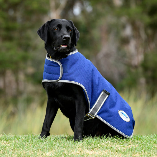 Premier Free Parka Dog Coat