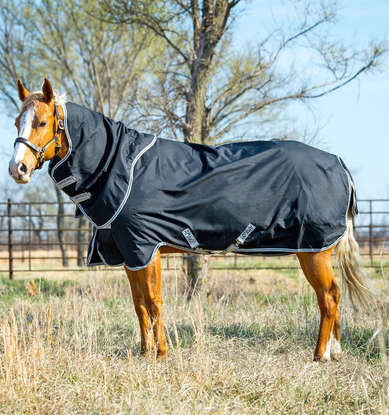 Stock Horse Plus 200g