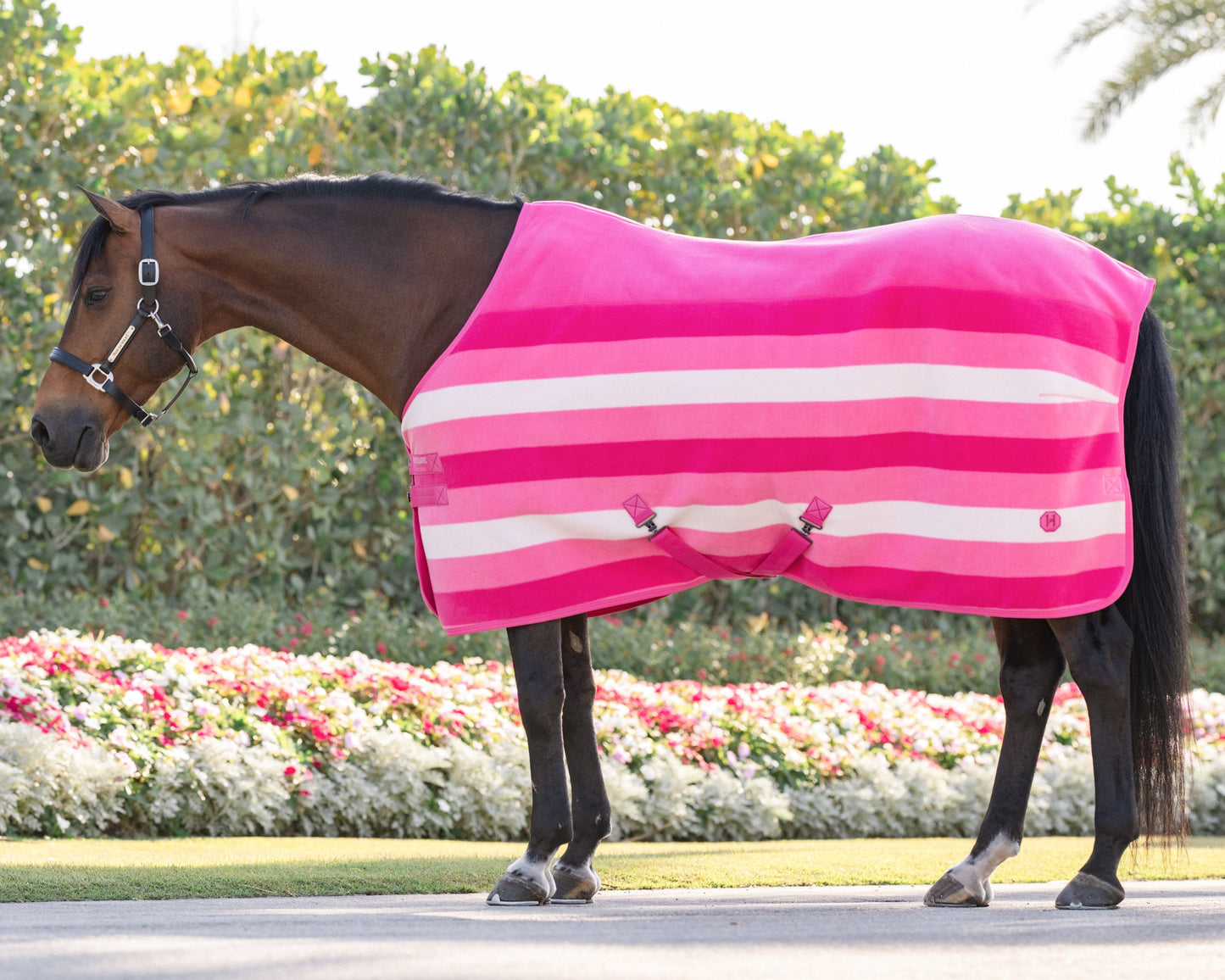 Ireland Newmarket Fleece Cooler