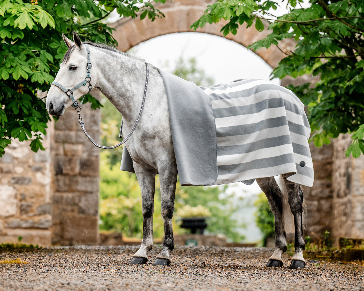 Ireland Newmarket Fleece